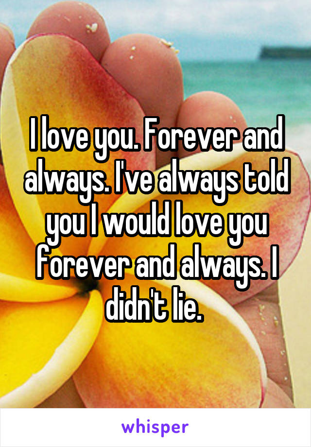 I love you. Forever and always. I've always told you I would love you forever and always. I didn't lie. 