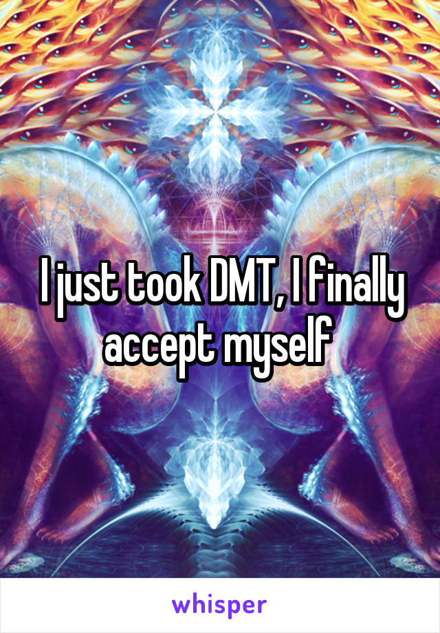 I just took DMT, I finally accept myself 