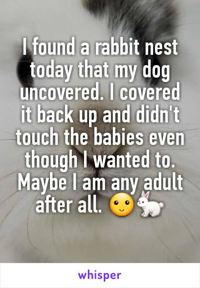 I found a rabbit nest today that my dog uncovered. I covered it back up and didn't touch the babies even though I wanted to.  Maybe I am any adult after all. 🙂🐇