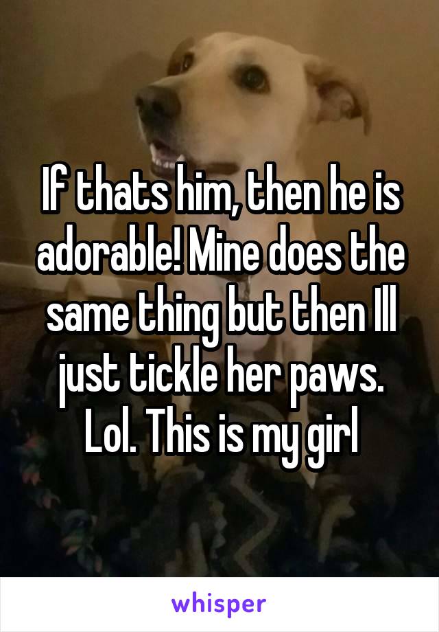 If thats him, then he is adorable! Mine does the same thing but then Ill just tickle her paws. Lol. This is my girl