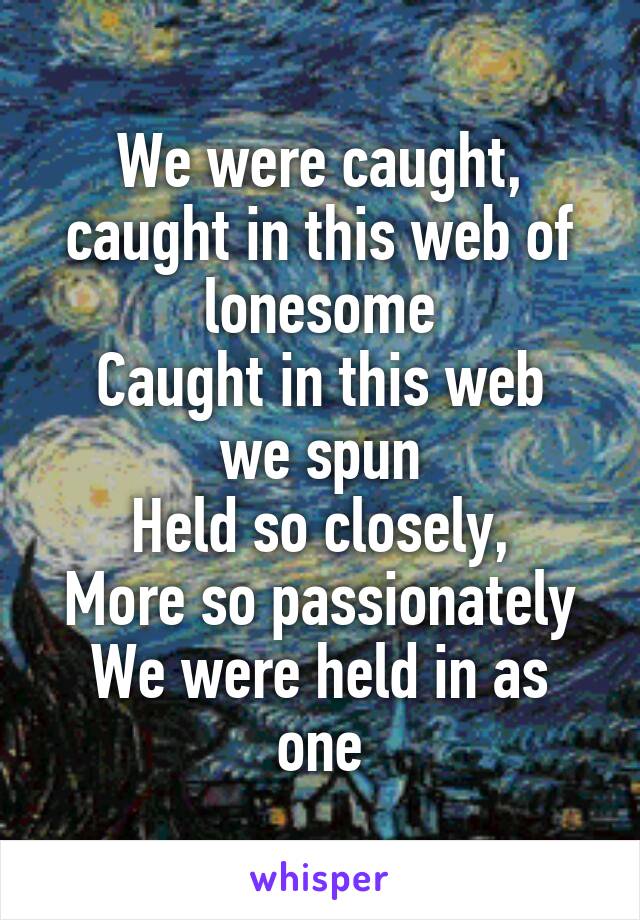 We were caught, caught in this web of lonesome
Caught in this web
we spun
Held so closely,
More so passionately
We were held in as one
