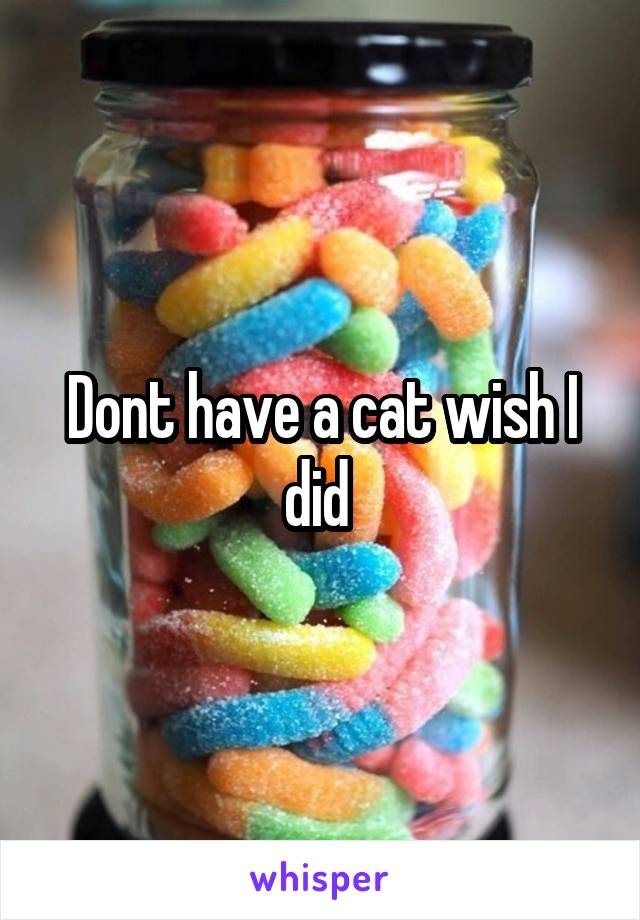Dont have a cat wish I did 