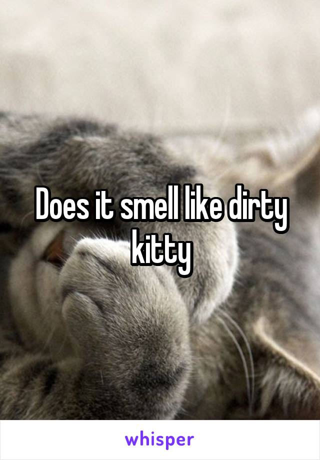 Does it smell like dirty kitty