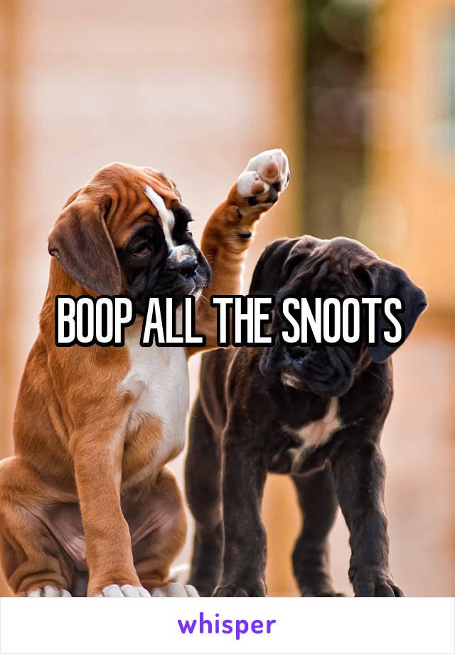 BOOP ALL THE SNOOTS