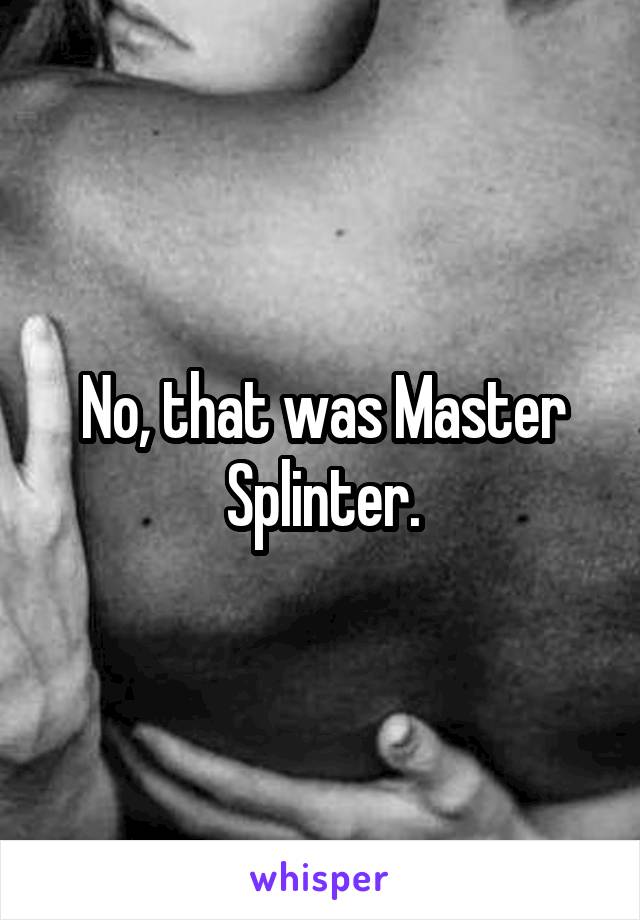 No, that was Master Splinter.