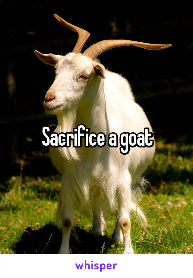 Sacrifice a goat