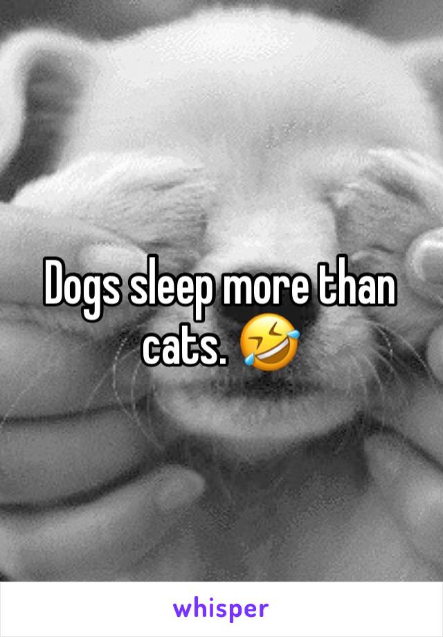 Dogs sleep more than cats. 🤣