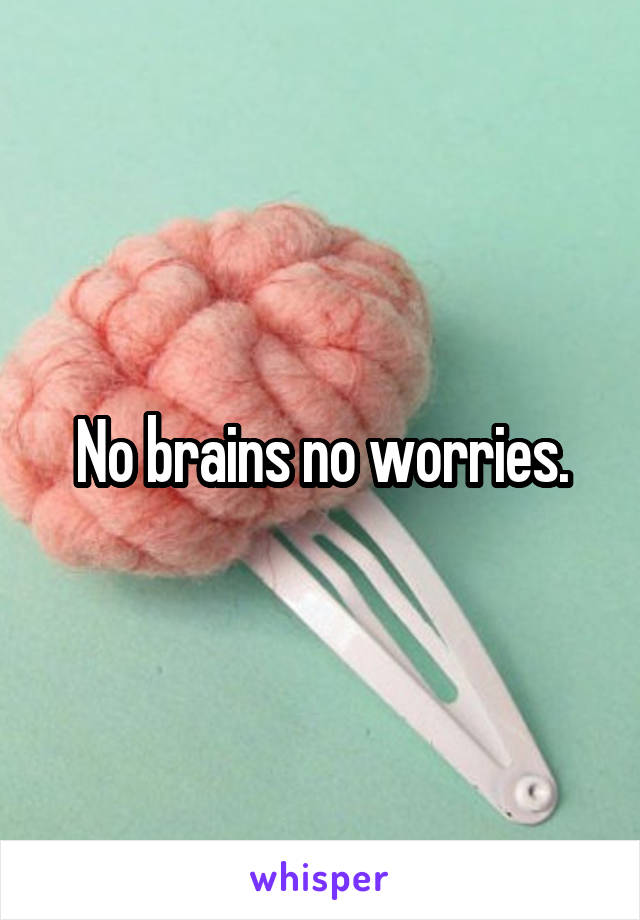 No brains no worries.