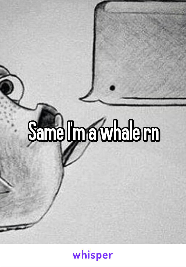 Same I'm a whale rn