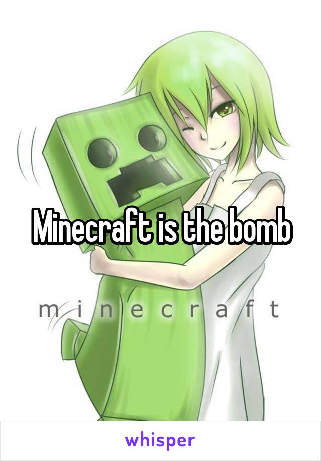 Minecraft is the bomb