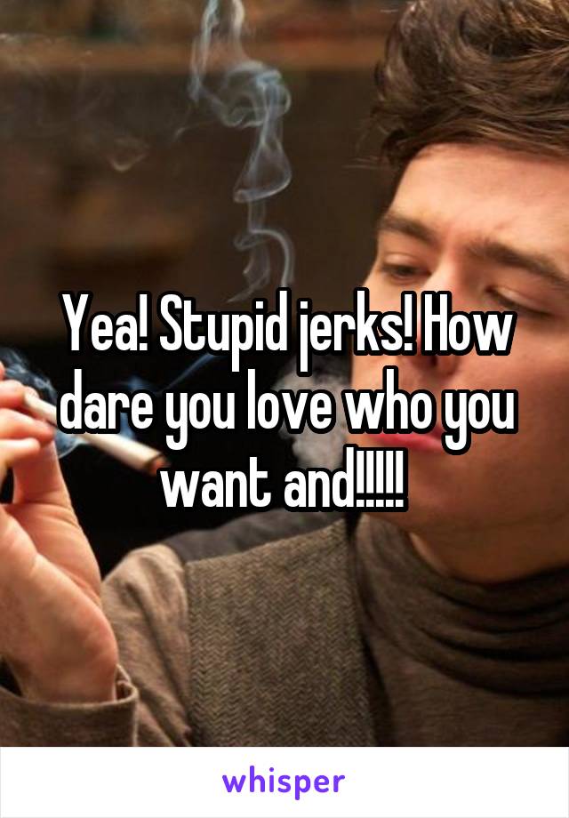 Yea! Stupid jerks! How dare you love who you want and!!!!! 