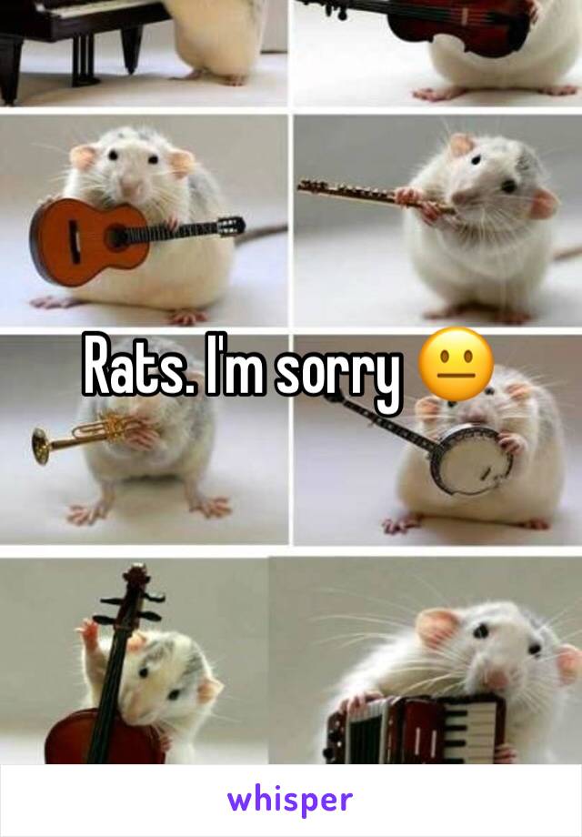 Rats. I'm sorry 😐 