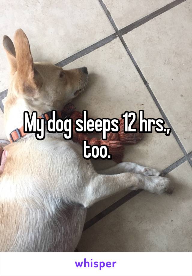 My dog sleeps 12 hrs., too.
