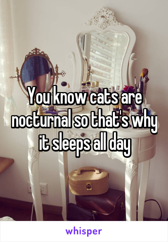 You know cats are nocturnal so that's why it sleeps all day