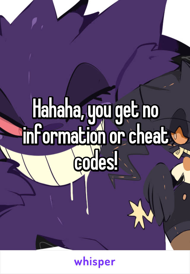 Hahaha, you get no information or cheat codes!