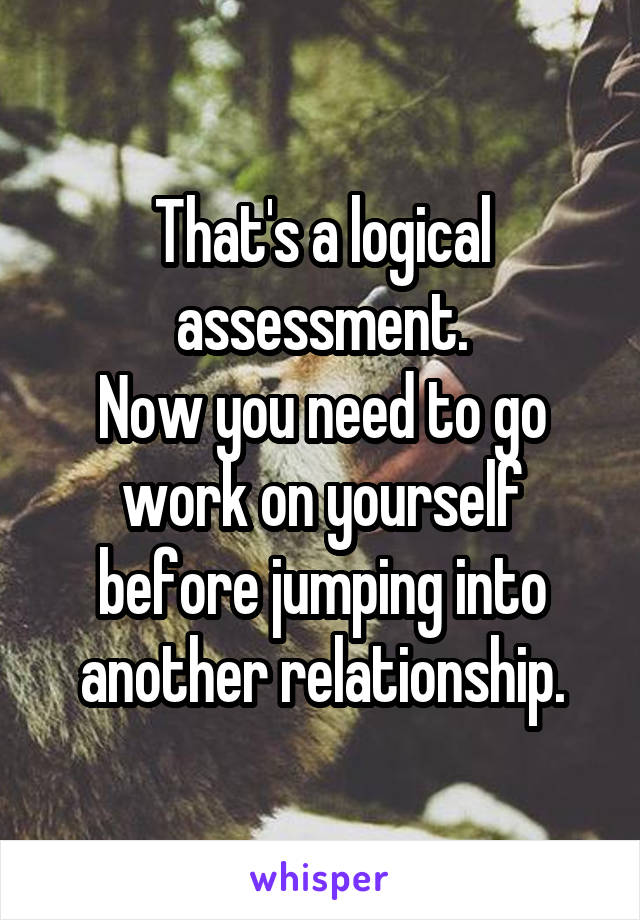 That's a logical assessment.
Now you need to go work on yourself before jumping into another relationship.