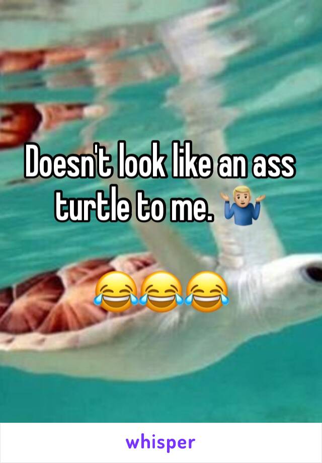 Doesn't look like an ass turtle to me. 🤷🏼‍♂️

😂😂😂