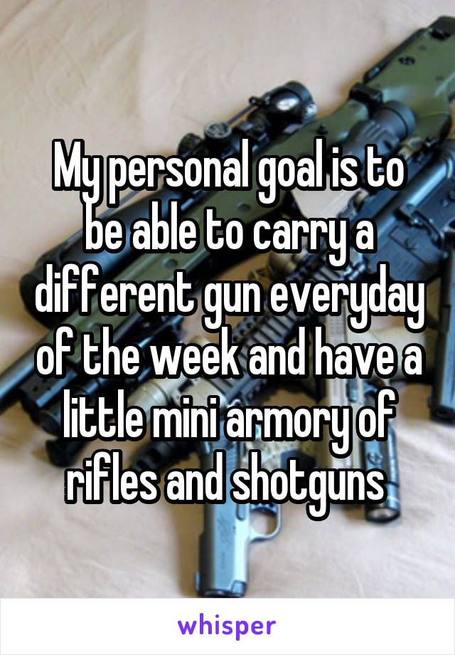 My personal goal is to be able to carry a different gun everyday of the week and have a little mini armory of rifles and shotguns 