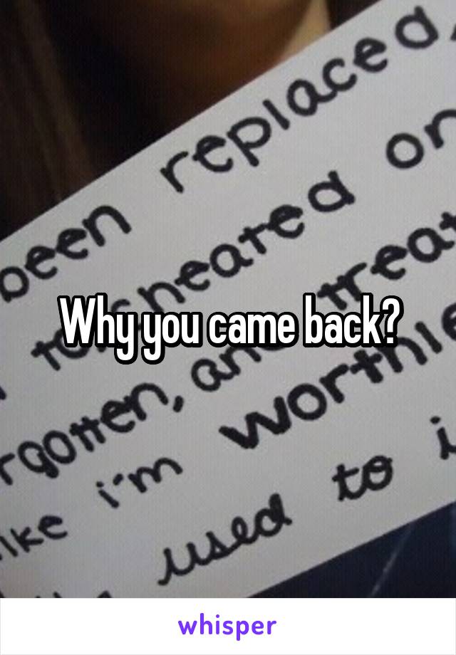 Why you came back?