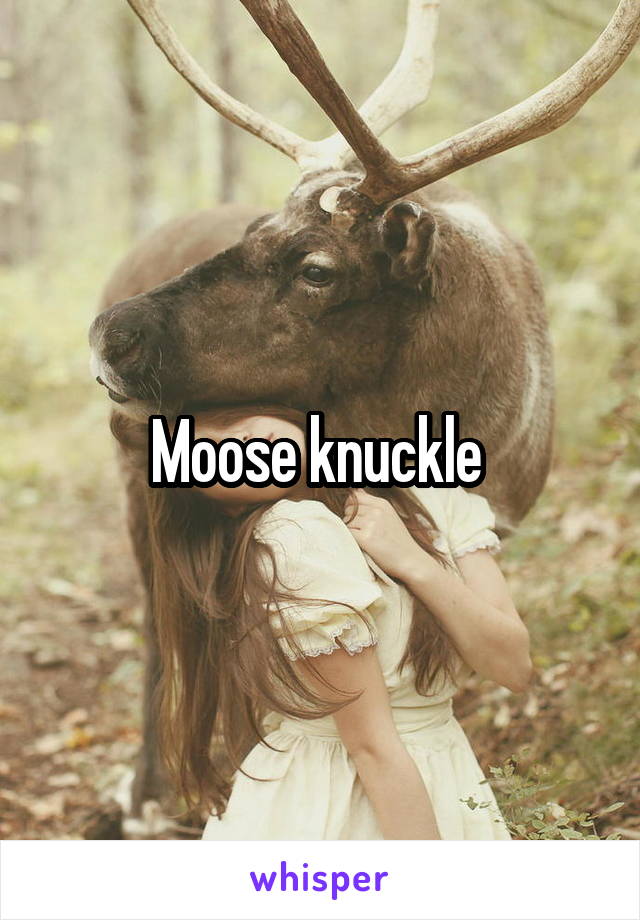 Moose knuckle 