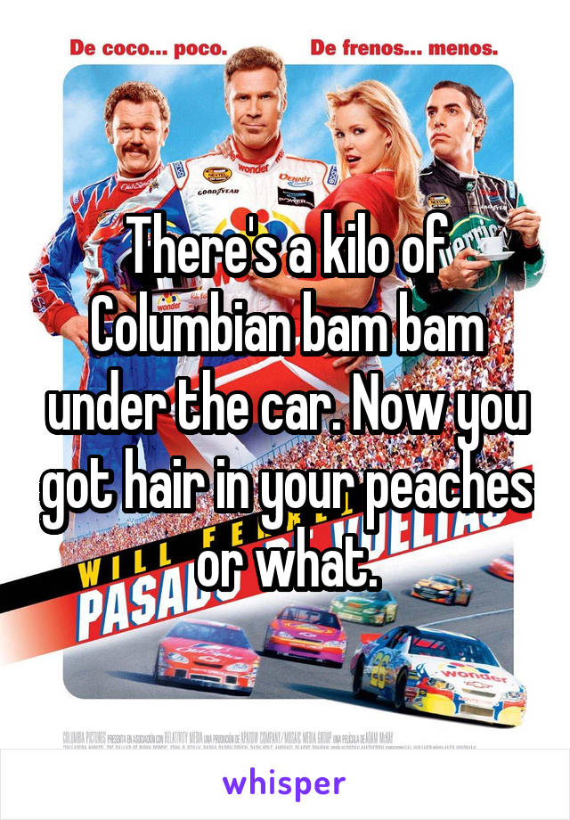 There's a kilo of Columbian bam bam under the car. Now you got hair in your peaches or what.