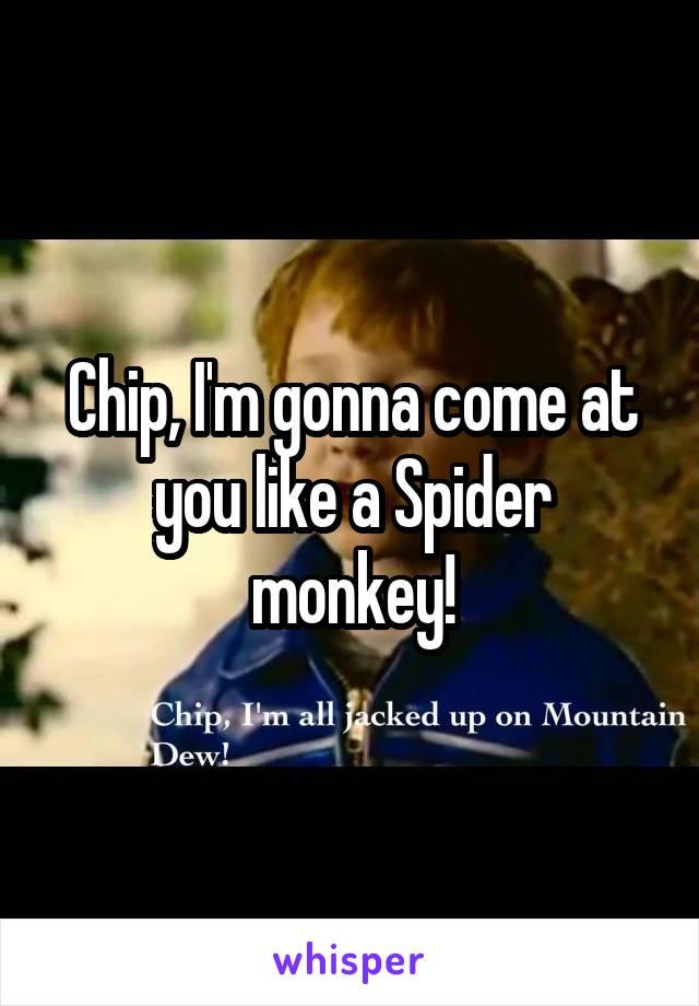 Chip, I'm gonna come at you like a Spider monkey!