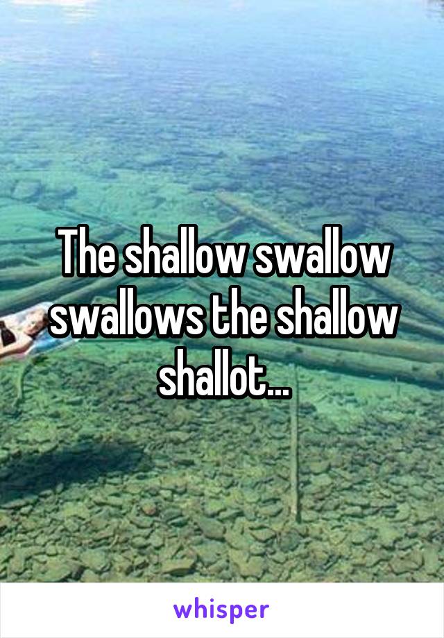 The shallow swallow swallows the shallow shallot...