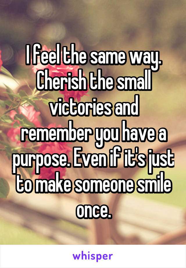 I feel the same way. Cherish the small victories and remember you have a purpose. Even if it's just to make someone smile once.