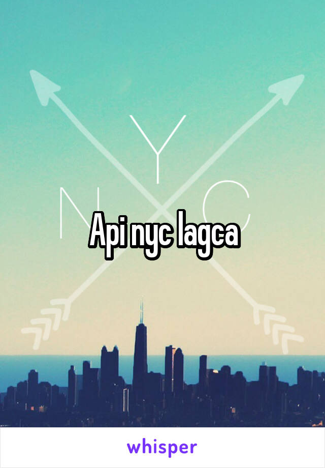 Api nyc lagca