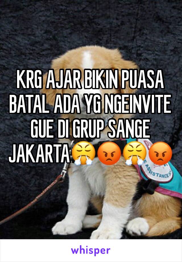 KRG AJAR BIKIN PUASA BATAL ADA YG NGEINVITE GUE DI GRUP SANGE JAKARTA😤😡😤😡