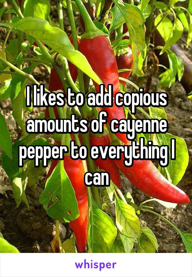 I likes to add copious amounts of cayenne pepper to everything I can