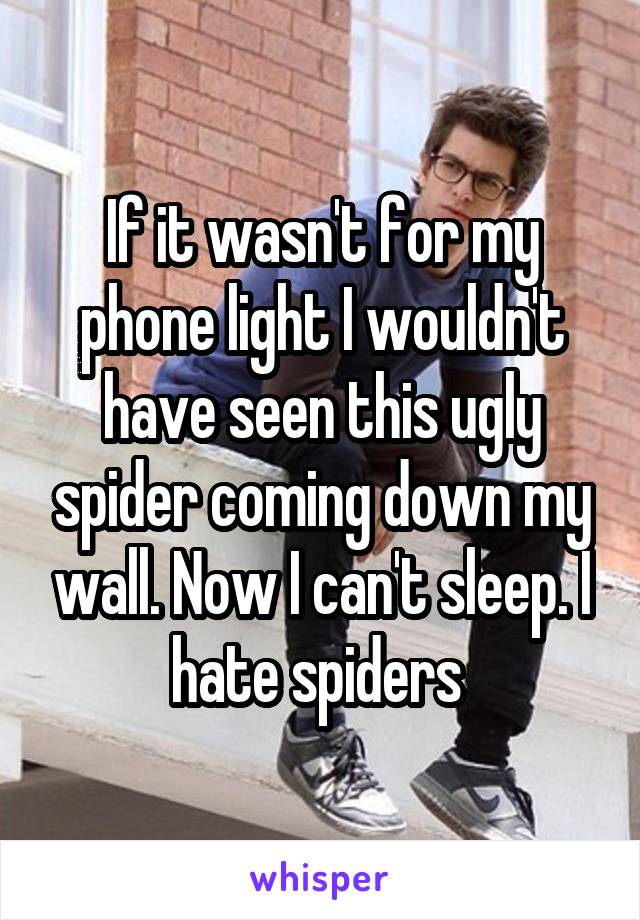 If it wasn't for my phone light I wouldn't have seen this ugly spider coming down my wall. Now I can't sleep. I hate spiders 