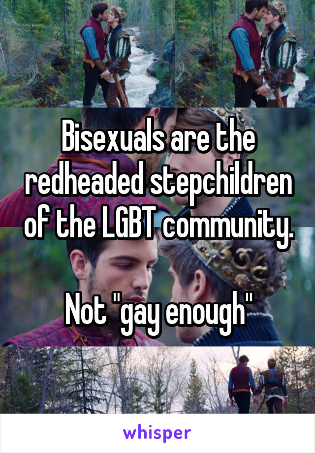 Bisexuals are the redheaded stepchildren of the LGBT community. 
Not "gay enough"