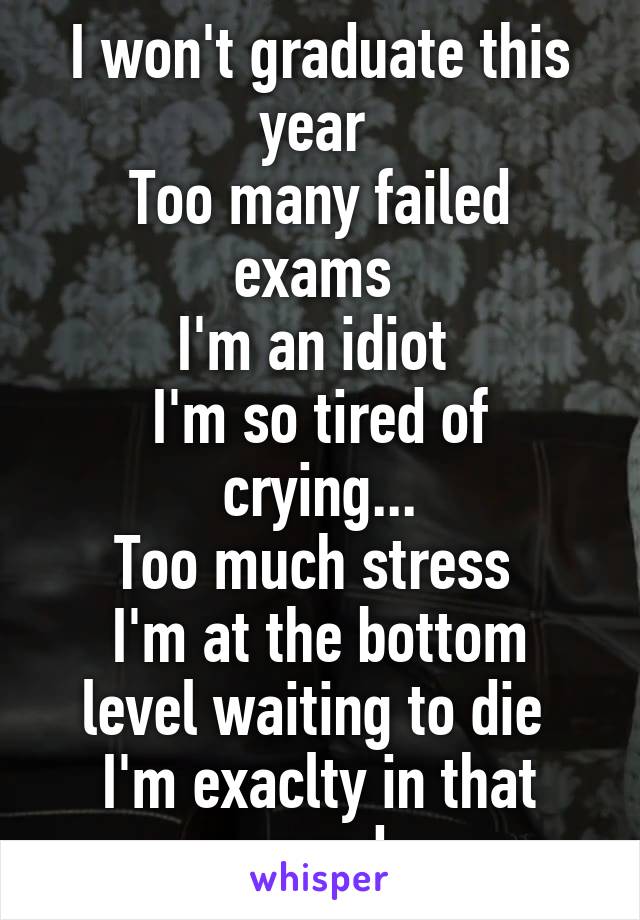 I won't graduate this year 
Too many failed exams 
I'm an idiot 
I'm so tired of crying...
Too much stress 
I'm at the bottom level waiting to die 
I'm exaclty in that mood