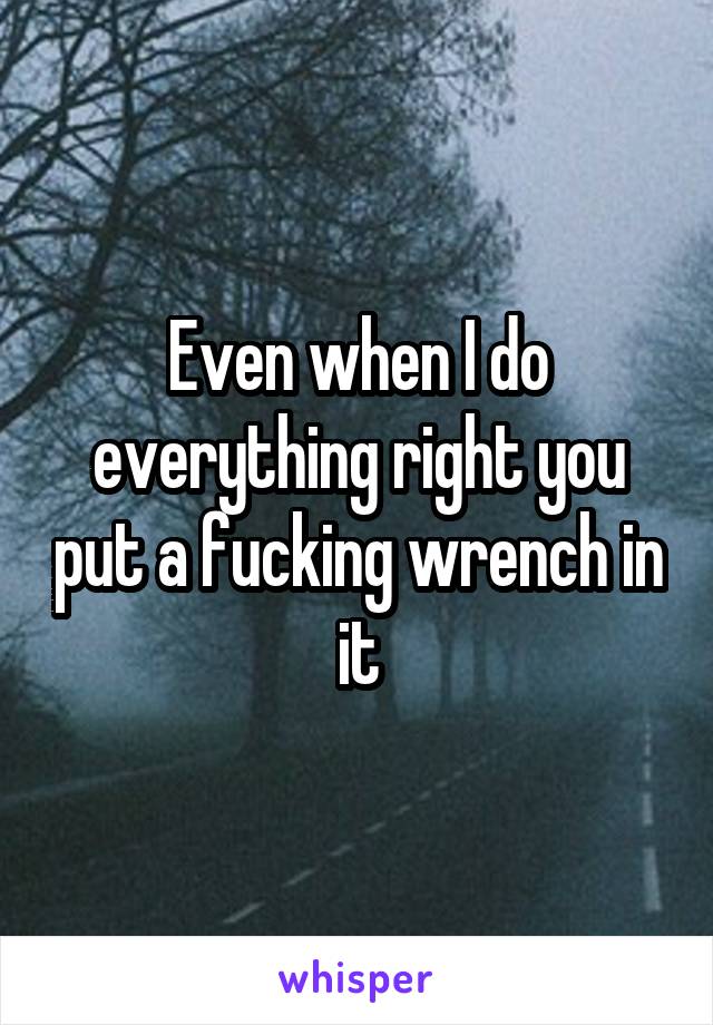 Even when I do everything right you put a fucking wrench in it