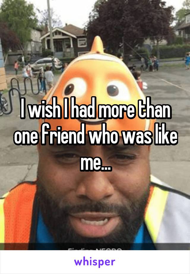 I wish I had more than one friend who was like me...