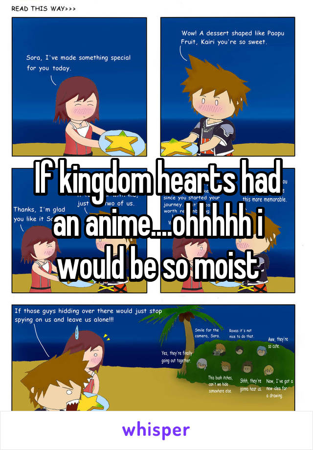 If kingdom hearts had an anime....ohhhhh i would be so moist