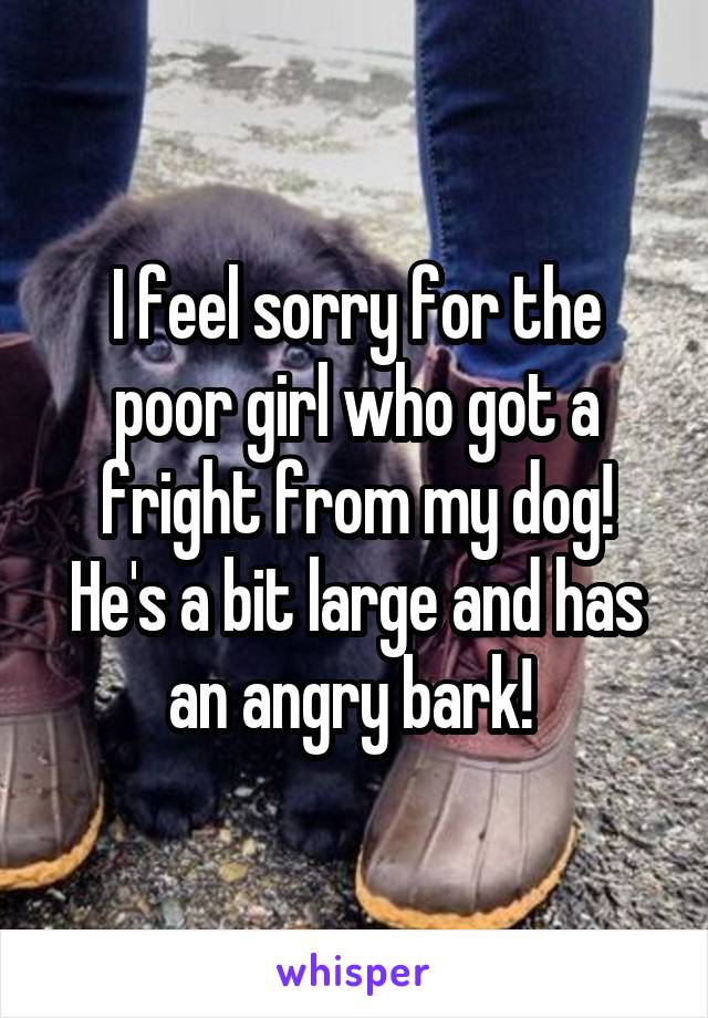 I feel sorry for the poor girl who got a fright from my dog! He's a bit large and has an angry bark! 