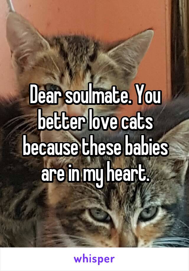 Dear soulmate. You better love cats because these babies are in my heart.