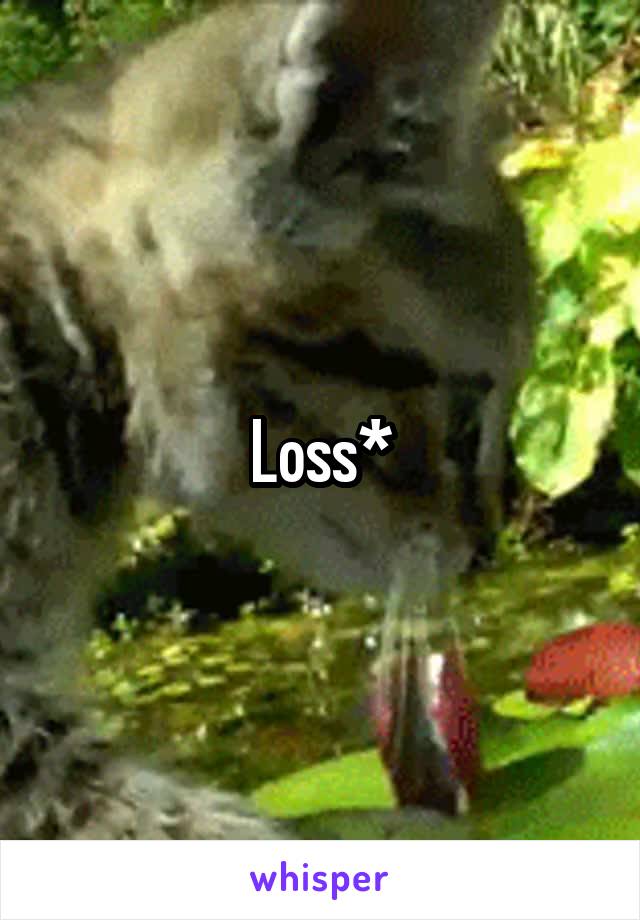 Loss*