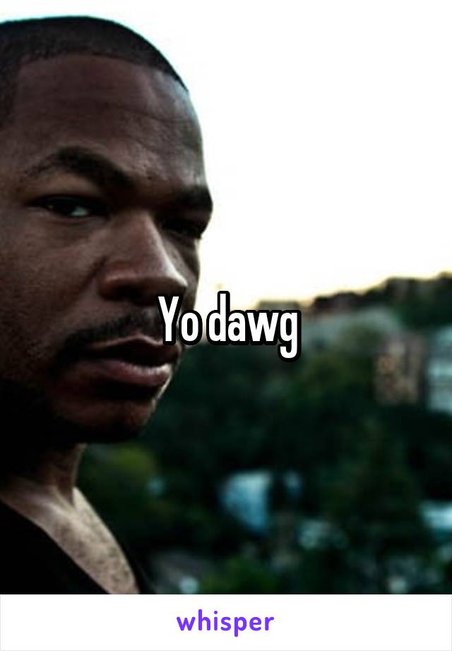 Yo dawg