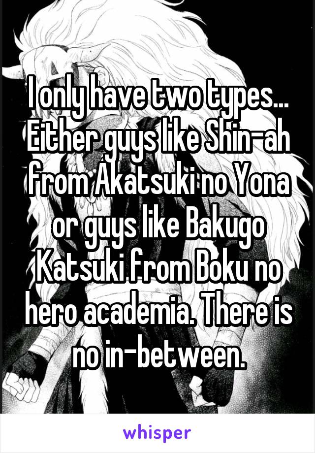 I only have two types... Either guys like Shin-ah from Akatsuki no Yona or guys like Bakugo Katsuki from Boku no hero academia. There is no in-between.