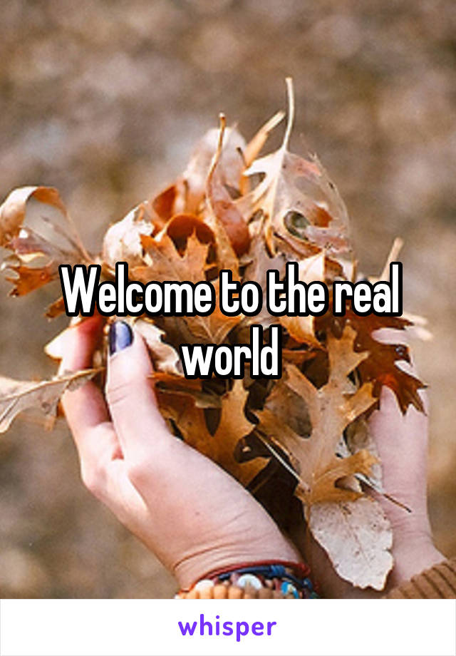 Welcome to the real world