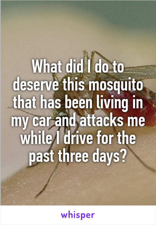 What did I do to deserve this mosquito that has been living in my car and attacks me while I drive for the past three days?