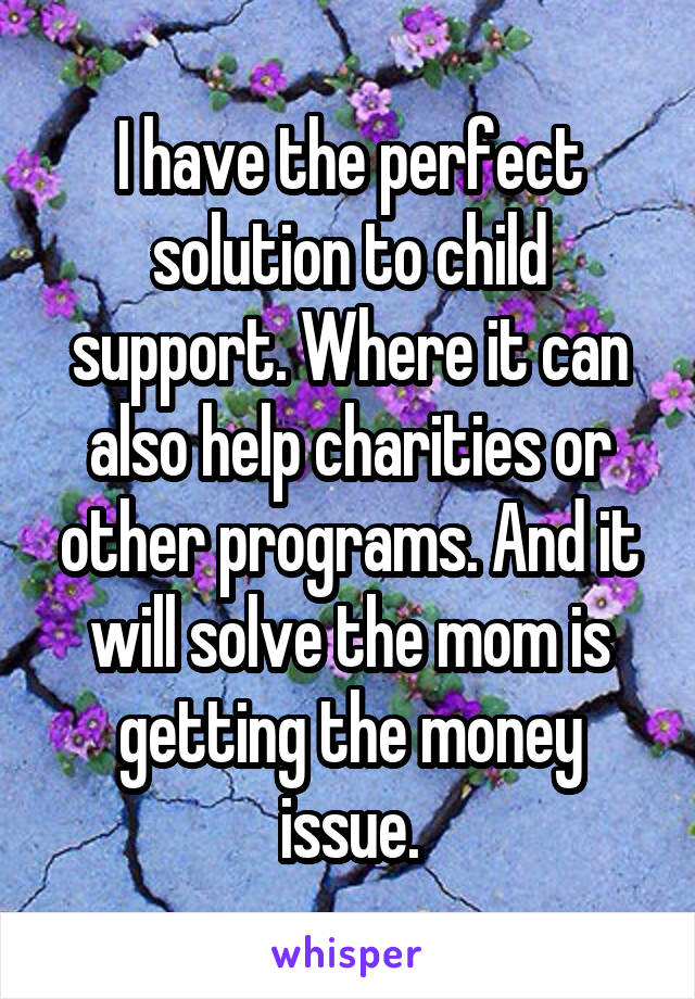 I have the perfect solution to child support. Where it can also help charities or other programs. And it will solve the mom is getting the money issue.