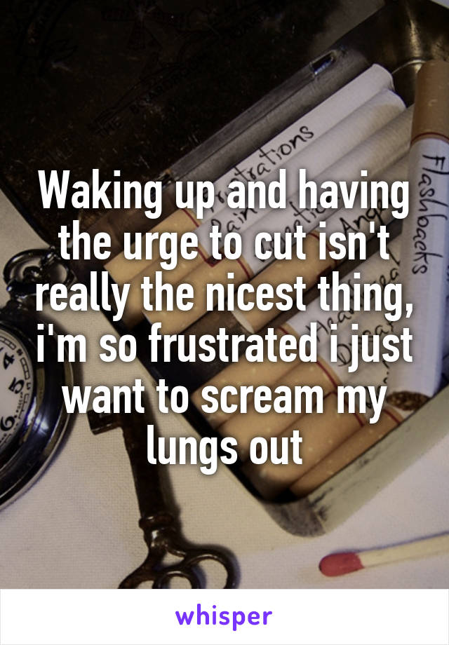 Waking up and having the urge to cut isn't really the nicest thing, i'm so frustrated i just want to scream my lungs out