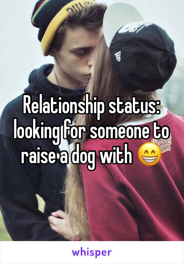 Relationship status: looking for someone to raise a dog with 😁