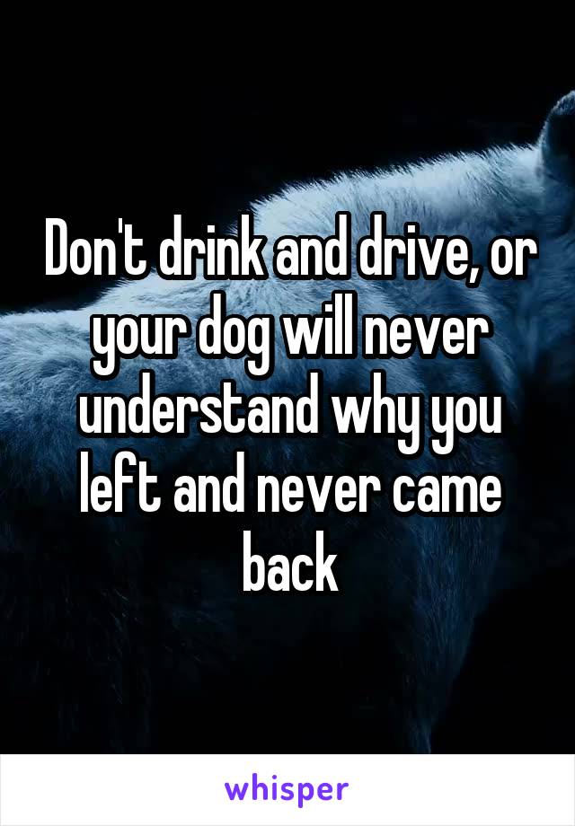 Don't drink and drive, or your dog will never understand why you left and never came back