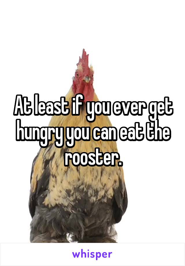 At least if you ever get hungry you can eat the rooster.