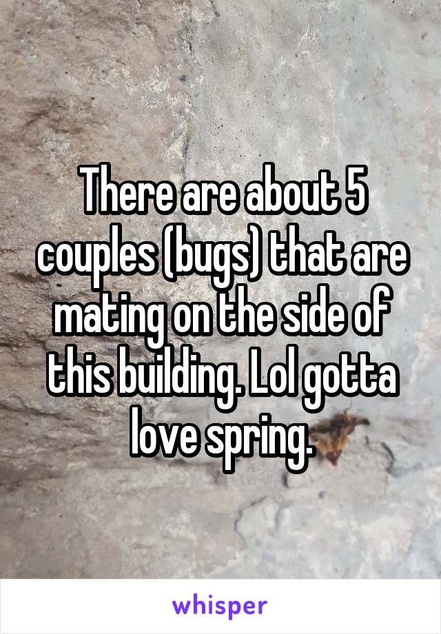 There are about 5 couples (bugs) that are mating on the side of this building. Lol gotta love spring.